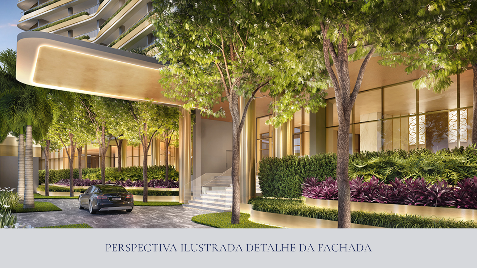 Saffire